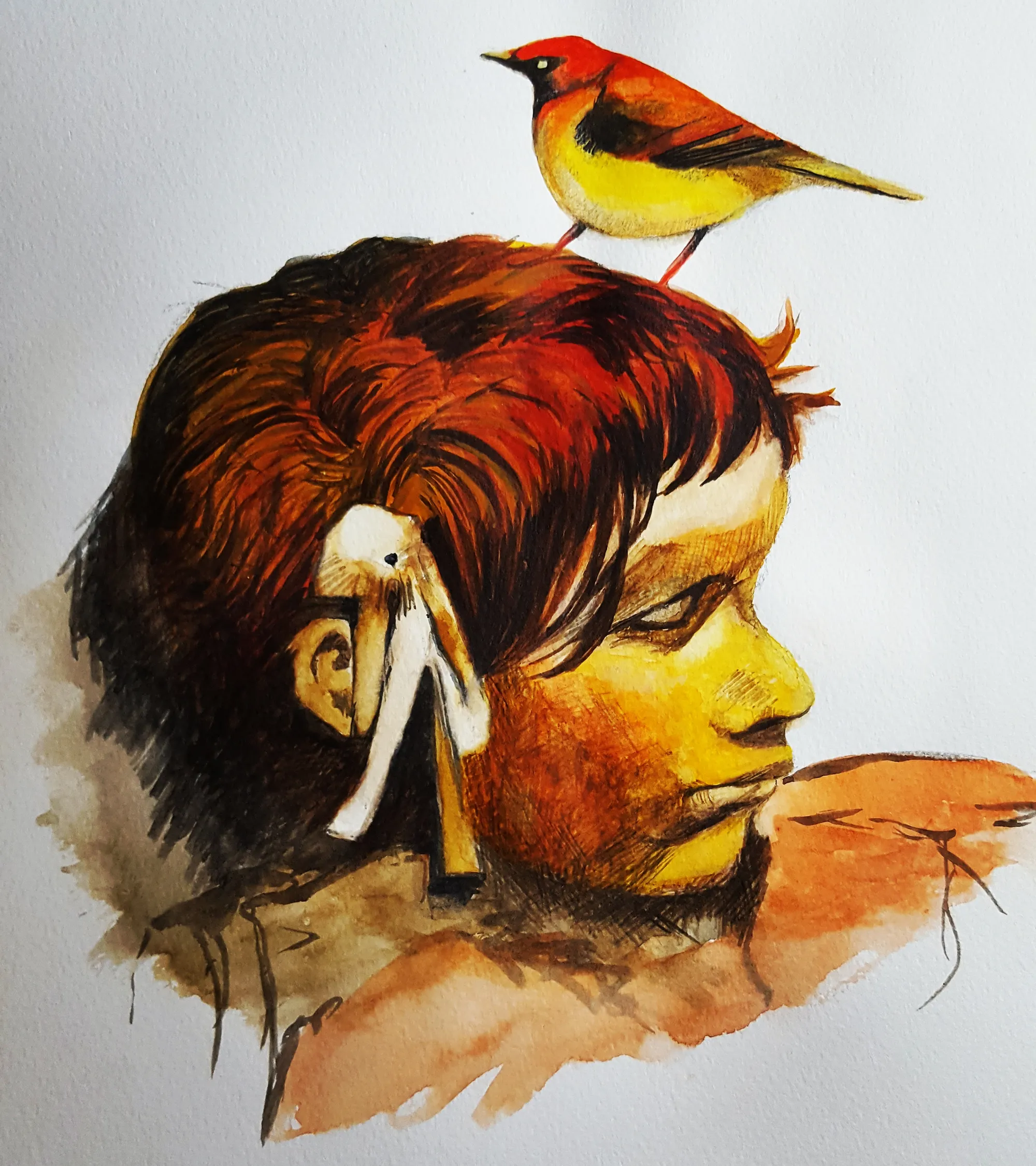 Sketch Book