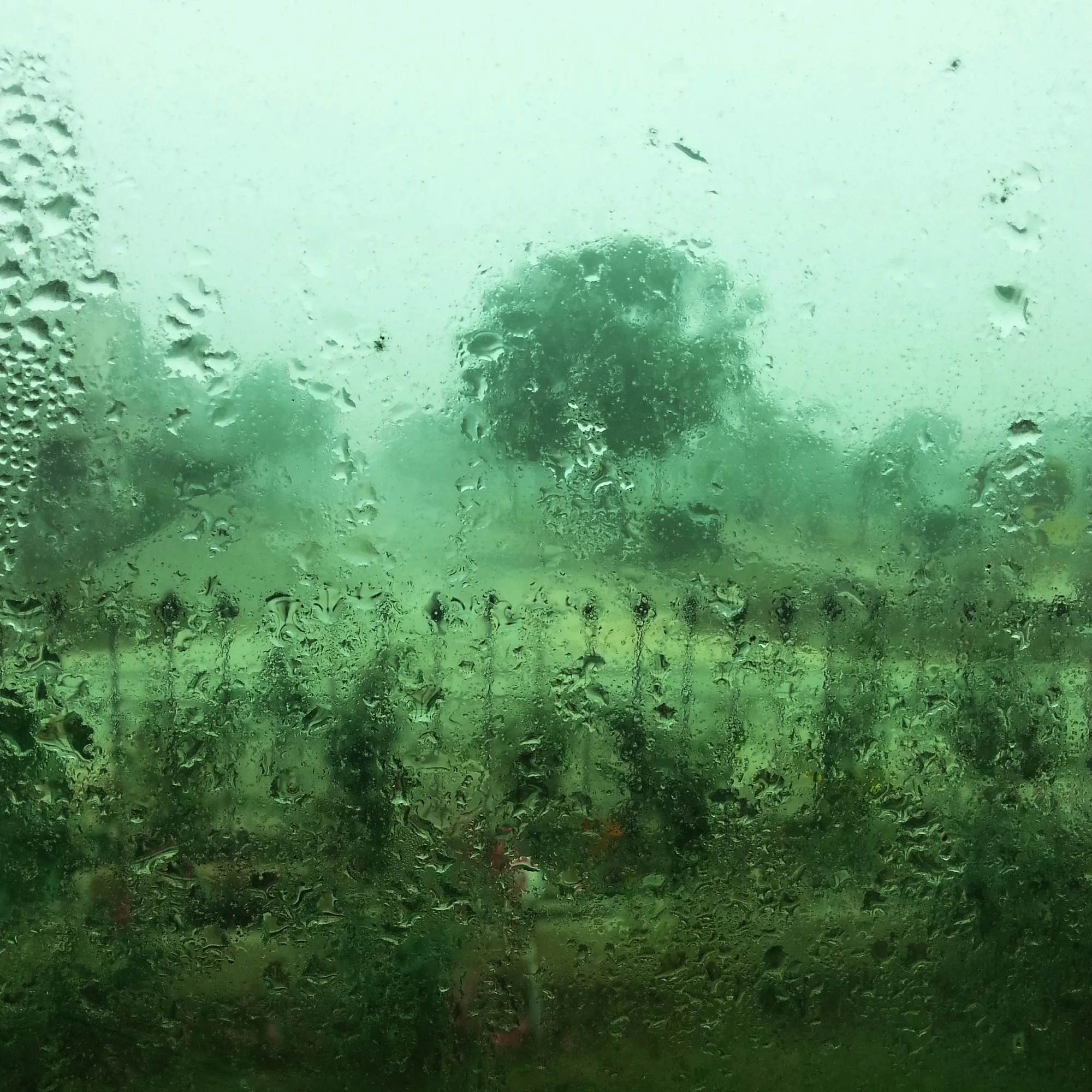 Visual Diaries — image 11