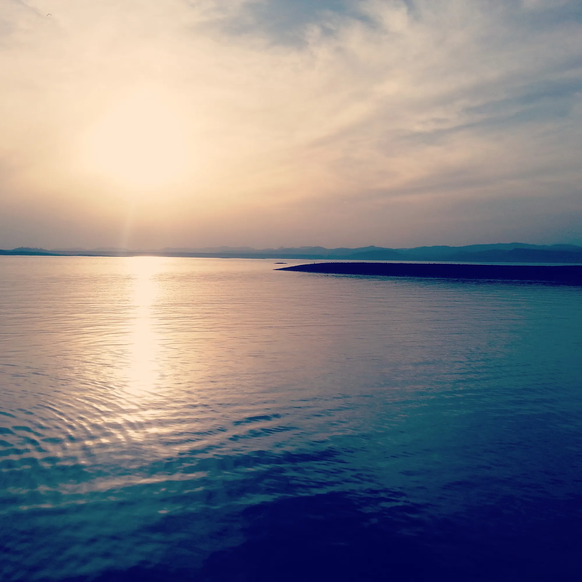 Visual Diaries — image 14
