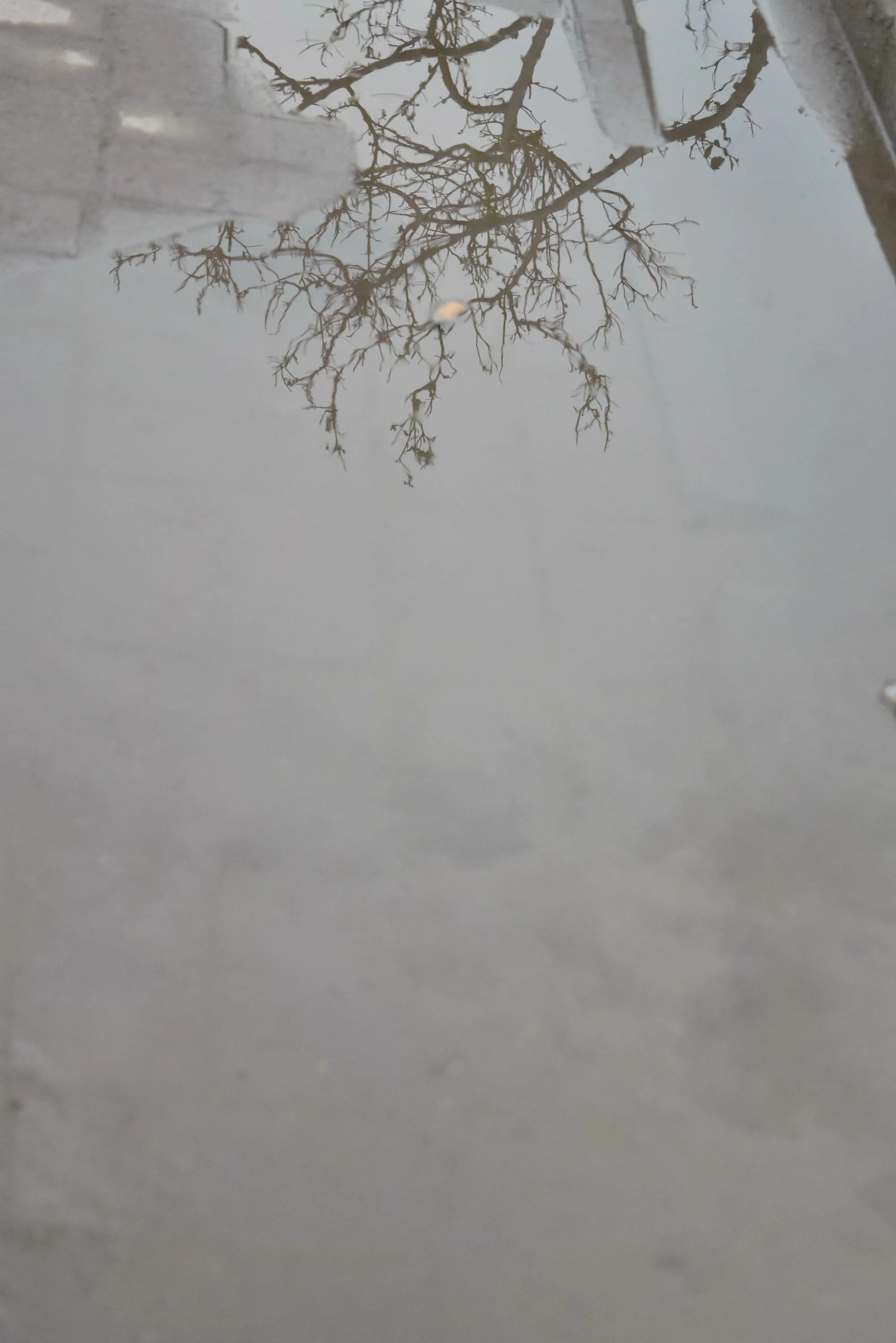 Visual Diaries — image 25